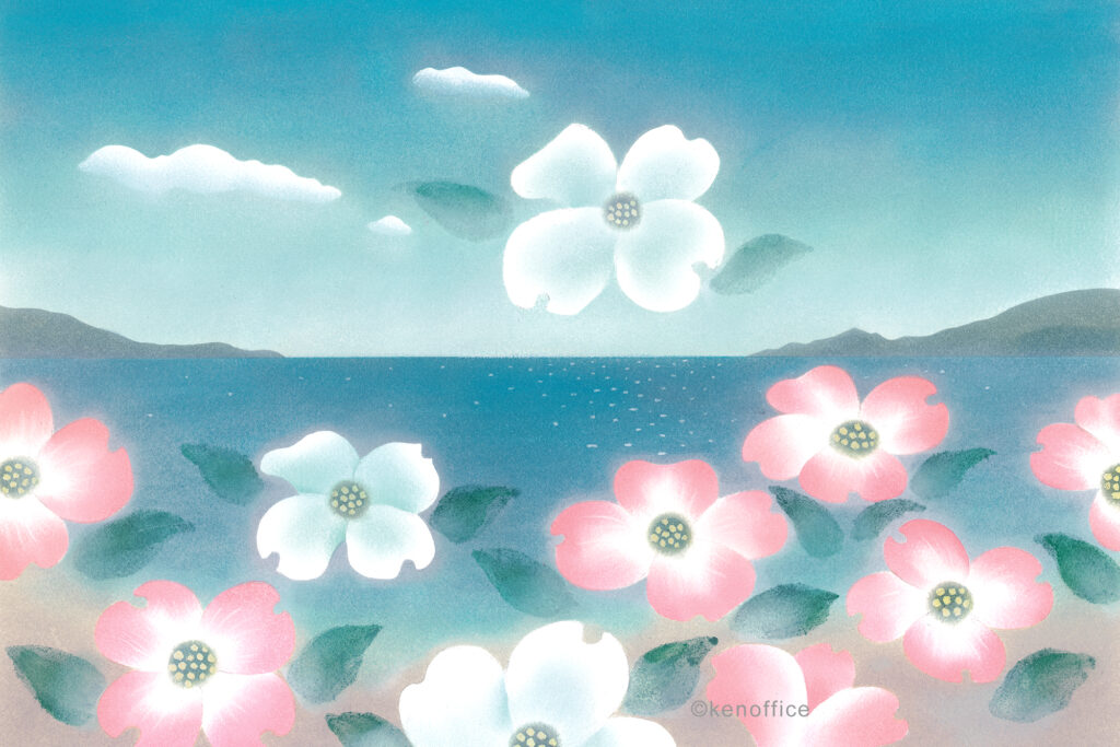 ハナミズキのみち（2021.4-5月） - 黒井健絵本ハウス